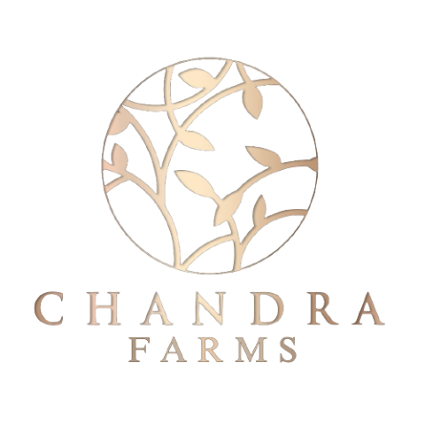 Chandra Farms